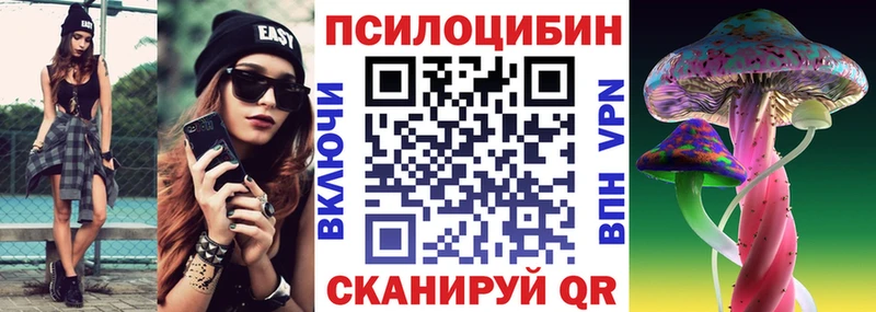 Псилоцибиновые грибы Psilocybe  блэк спрут маркетплейс  Княгинино 